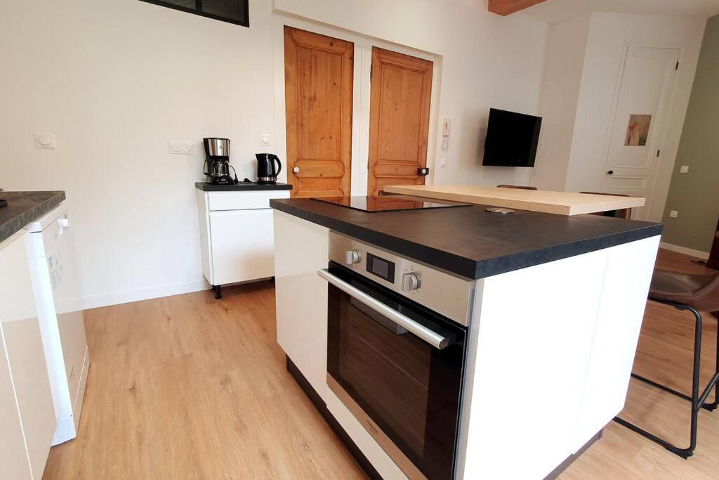 Classe 4 Etoiles - Cybele - Centre Ville 2 Chambres, Cour Privative Et Garage Βιέν Εξωτερικό φωτογραφία